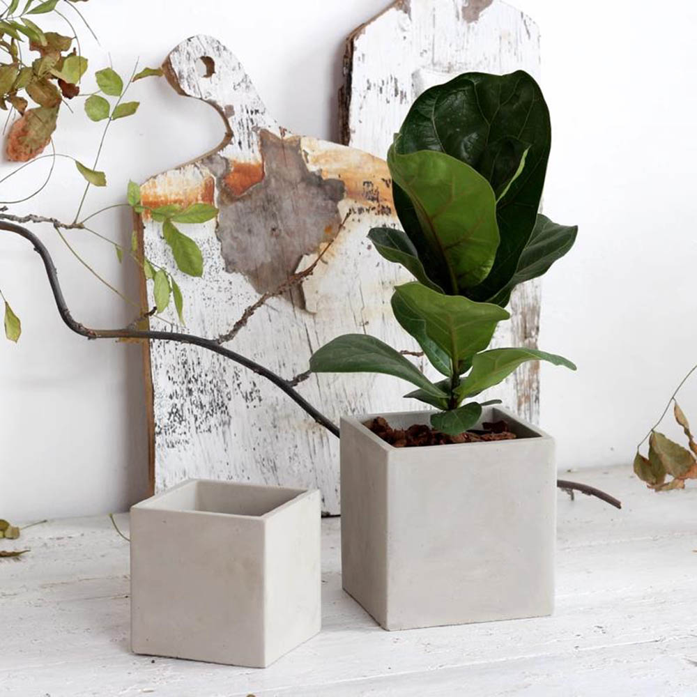 Large Square Flowerpot Silicon - Potsticker Mold 评论和价格