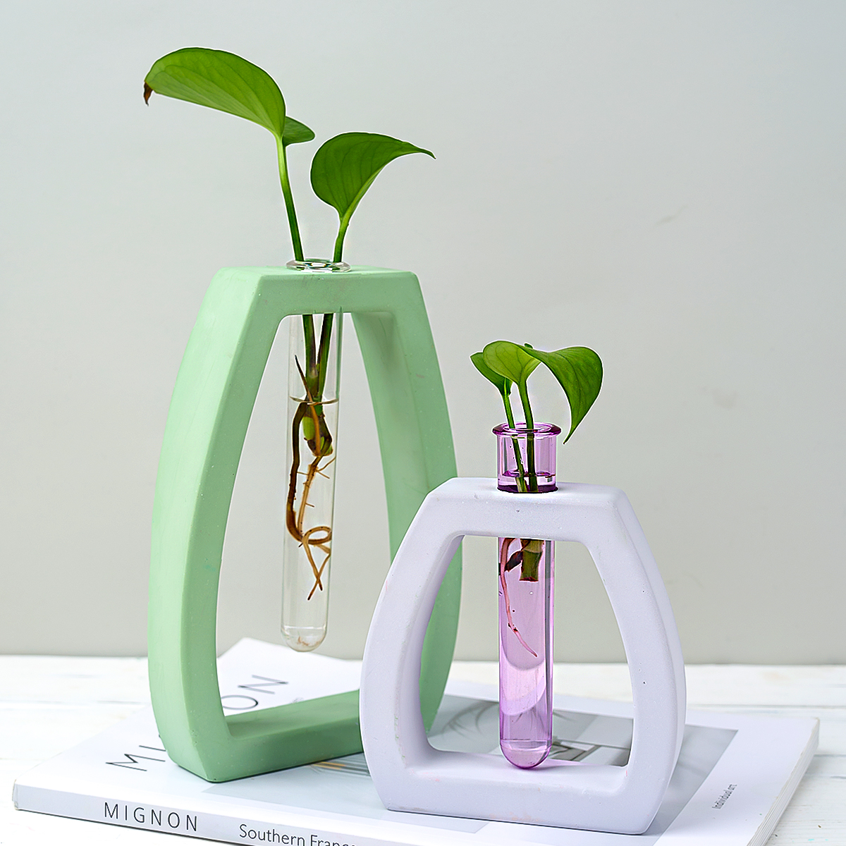 Hydroponic Test Tube Vase Sili - Potsticker Mold 评论和价格