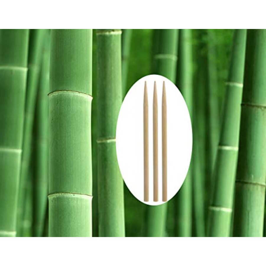 5.5 inch Thick Bamboo Sticks f - Corn Dog Stick 评论和价格